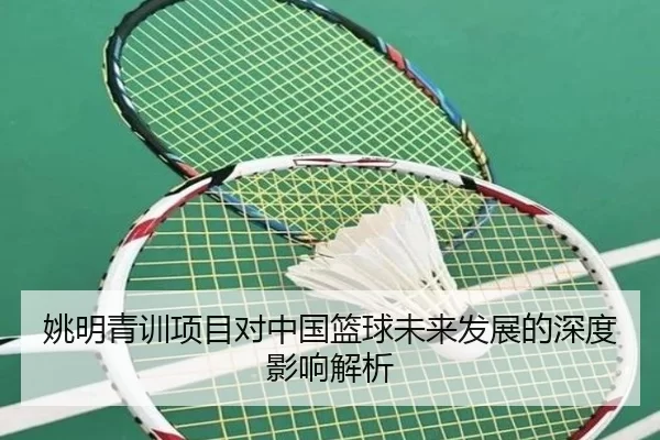 姚明青训项目对中国篮球未来发展的深度影响解析